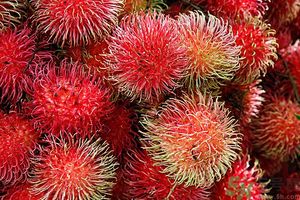 吃紅毛丹上火嗎？吃紅毛丹上火怎么辦？