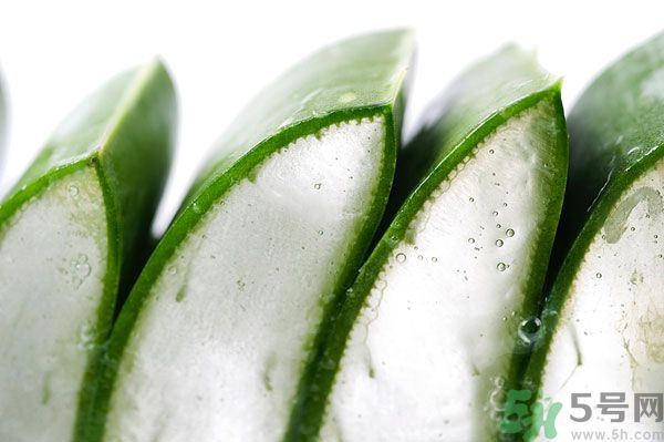 孕婦可以吃蘆薈嗎？孕婦吃蘆薈會怎樣？