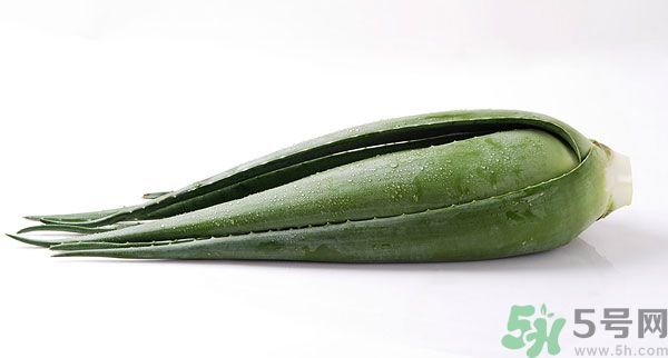 孕婦可以吃蘆薈嗎？孕婦吃蘆薈會(huì)怎樣？