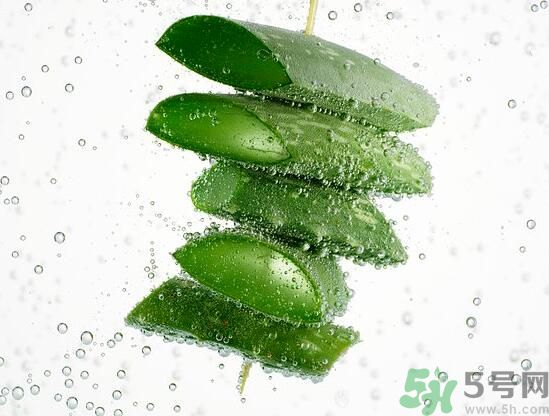 夏天吃蘆薈可以降火嗎？夏天吃蘆薈能清火嗎？
