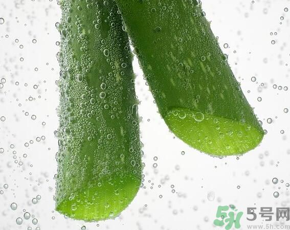 夏天吃蘆薈可以降火嗎？夏天吃蘆薈能清火嗎？