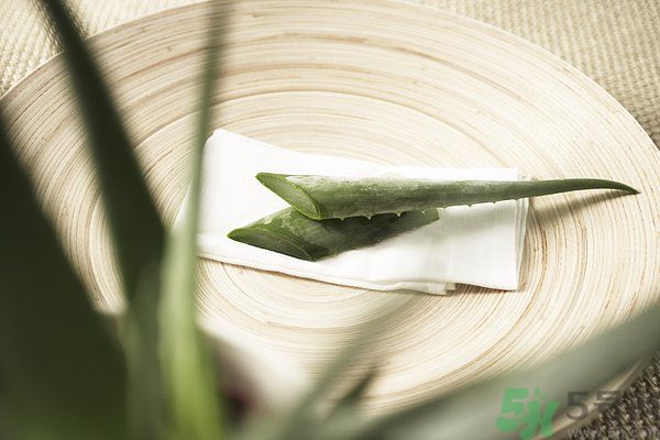 蘆薈是發(fā)物嗎？蘆薈是不是發(fā)物？