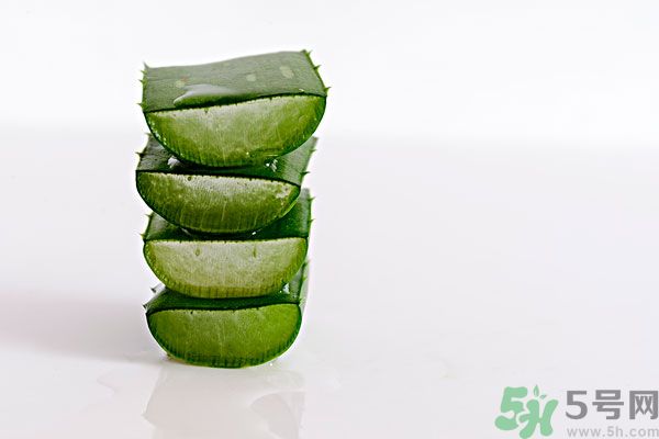 蘆薈是發(fā)物嗎？蘆薈是不是發(fā)物？