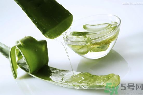 蘆薈酒有什么功效？蘆薈酒的功效是什么？