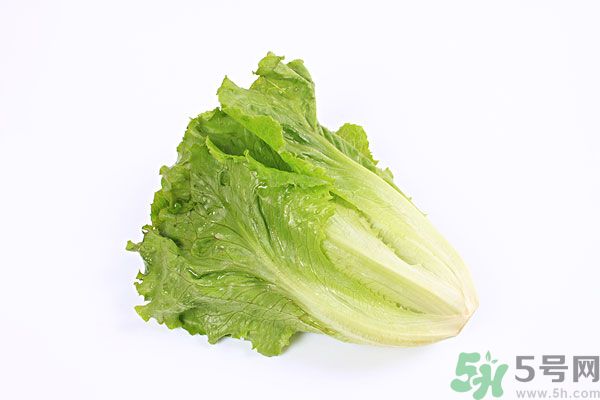 小孩可以吃生菜嗎？小孩吃生菜好嗎？
