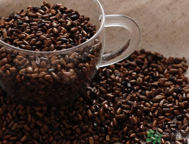 決明子泡茶喝可以減肥嗎？決明子泡茶喝有減肥效果嗎？