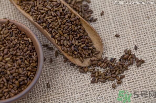孕婦可以喝決明子茶通便嗎？孕婦通便可以喝決明子茶嗎？