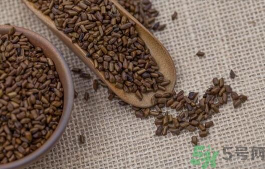 決明子泡茶加什么好？決明子和什么一起泡好？
