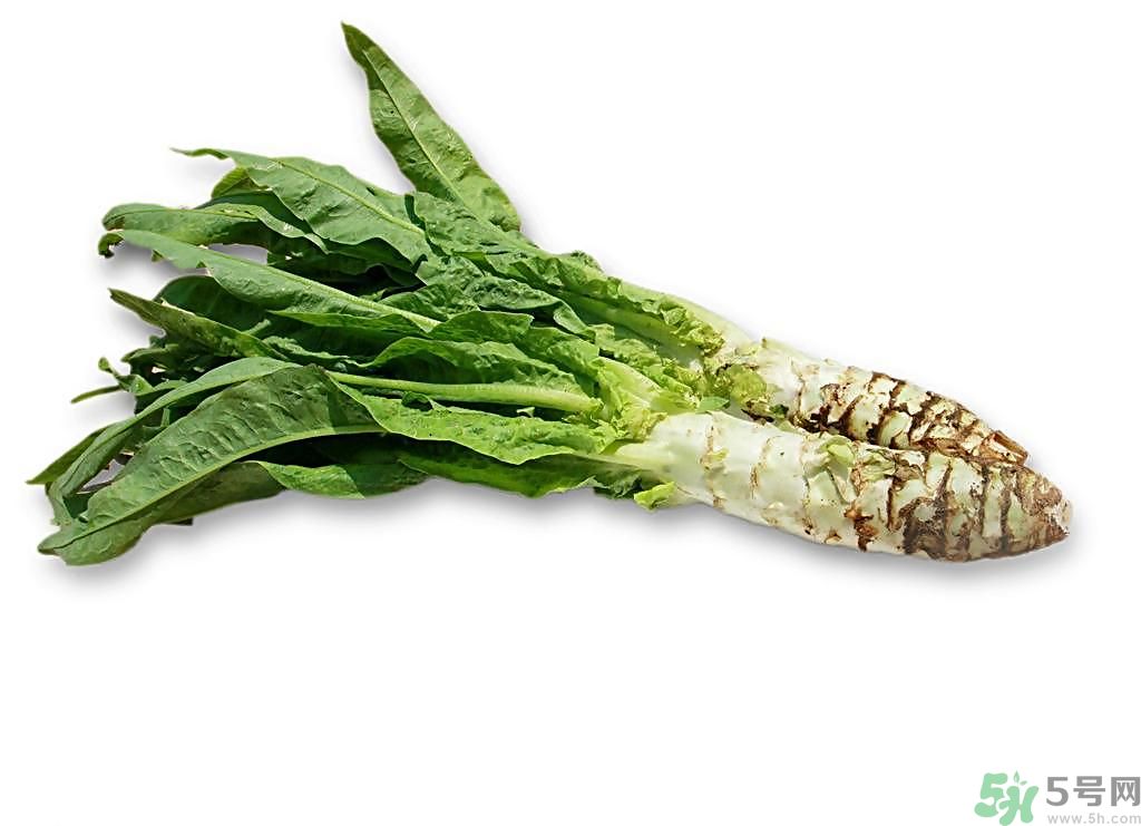 新鮮的萵筍怎么保存？削皮的萵筍怎么保存？