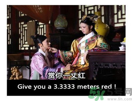 什么是蜀葵？蜀葵是一丈紅嗎？