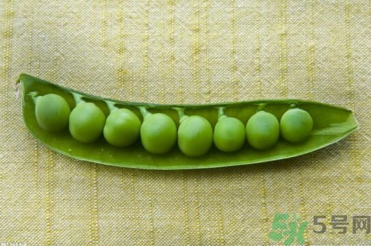 豌豆可以生吃嗎？生吃豌豆有什么好處？