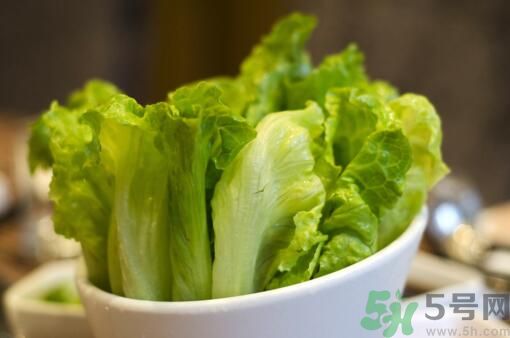 生菜會(huì)引起過敏嗎？吃生菜會(huì)過敏嗎？