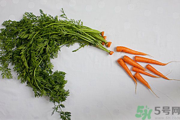 吃西瓜能防曬嗎？吃巧克力能紫外線(xiàn)嗎？