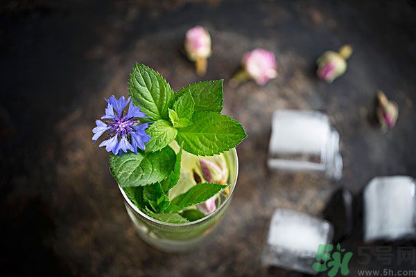 薄荷曬干泡茶有什么好處？薄荷曬干泡水的功效