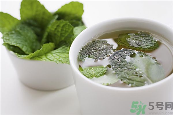 薄荷能美白嗎？薄荷的功效與作用