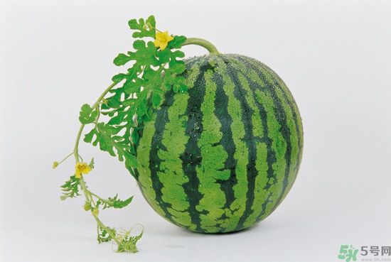 西瓜怎么挑熟的甜的？西瓜的儲存方法？