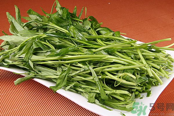 空心菜是菠菜嗎？空心菜是不是菠菜？