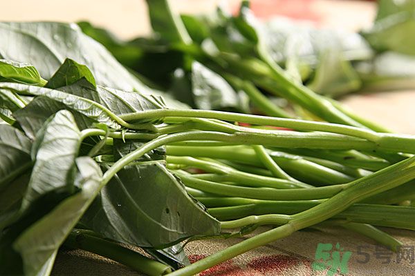 空心菜是菠菜嗎？空心菜是不是菠菜？