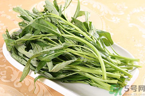 空心菜是菠菜嗎？空心菜是不是菠菜？