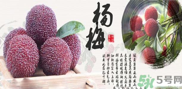 吃楊梅可以防止中暑嗎？中暑可以吃楊梅嗎？