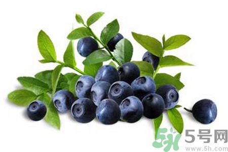 藍(lán)莓是不是發(fā)物？藍(lán)莓是發(fā)物嗎？