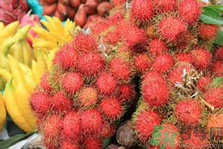 紅毛丹的殼可以吃嗎？紅毛丹的皮可以吃嗎？