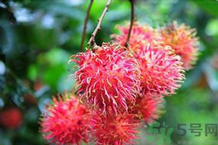 吃紅毛丹可以喝牛奶嗎？紅毛丹和牛奶可以一起吃嗎？