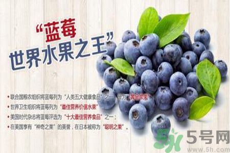 衣服上面染上了藍莓汁怎么辦？藍莓漬怎么清洗？