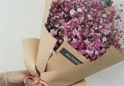 父親節(jié)送什么花好？父親節(jié)送什么花？
