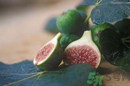 無花果沒熟可以吃嗎？吃了沒熟的無花果會怎樣？