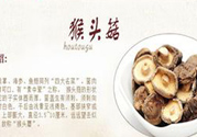  哺乳期可以吃猴頭菇嗎？產(chǎn)婦可以吃猴頭菇嗎？