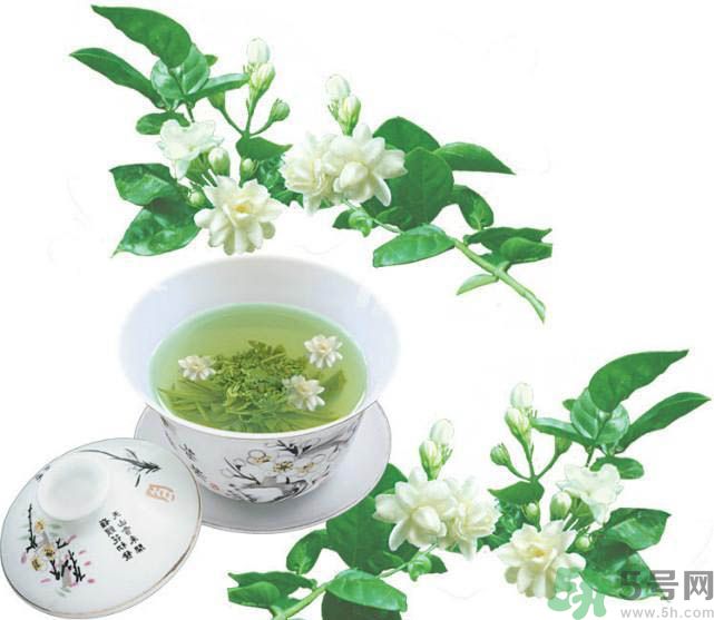茉莉花茶是熱性還是涼性？茉莉花茶是涼性嗎？