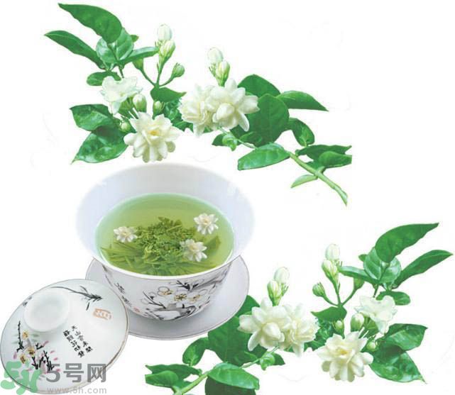茉莉花茶可以減肥嗎？怎樣喝茉莉花茶可以減肥？