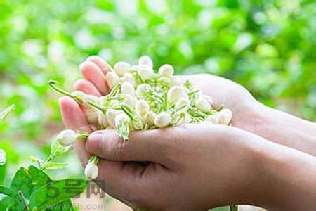 茉莉花茶可以和玫瑰花茶一起喝嗎？茉莉花茶和玫瑰花茶一起泡著喝好嗎？