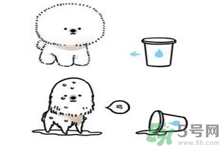 虛胖是什么原因？虛胖怎么辦？