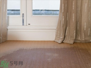 房間潮濕怎么辦？房間潮濕如何解決？