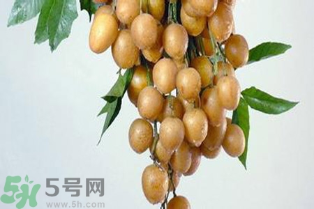 黃皮果是酸性還是堿性？黃皮果是堿性嗎？
