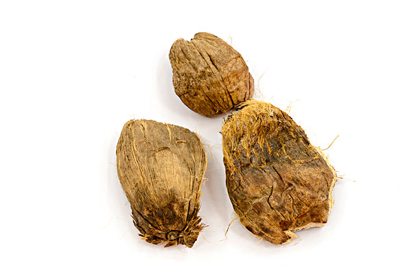 嚼檳榔的好處和壞處 嚼檳榔頭暈怎么回事？