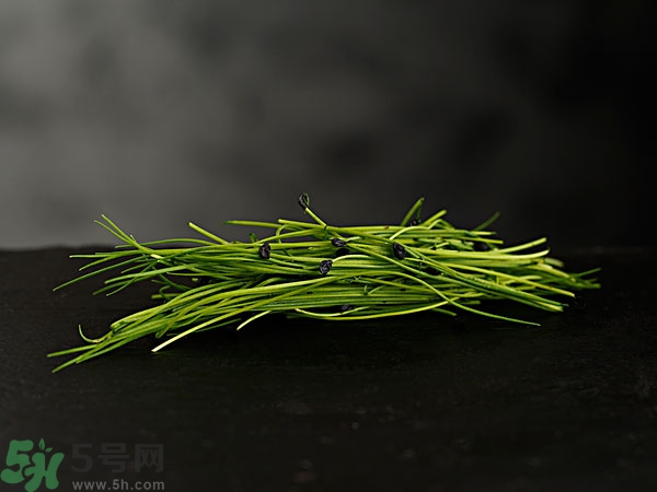 吃韭菜會燒心嗎？吃韭菜燒心怎么辦？