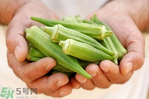 腎病可以吃秋葵嗎？腎病患者能吃秋葵嗎？