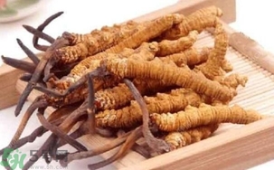 冬蟲(chóng)夏草是怎么形成的？冬蟲(chóng)夏草是蟲(chóng)子嗎？