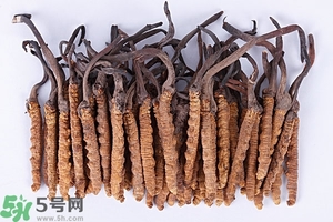 冬蟲(chóng)夏草是怎么形成的？冬蟲(chóng)夏草是蟲(chóng)子嗎？