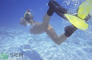 浮潛是什么意思？深潛和浮潛有什么區(qū)別？?