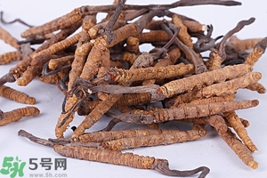 冬蟲(chóng)夏草是怎么形成的？冬蟲(chóng)夏草是蟲(chóng)子嗎？