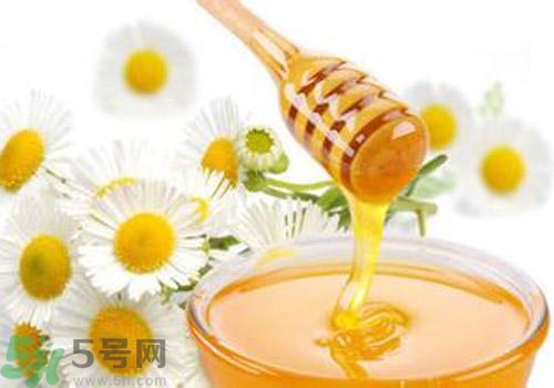 什么蜂蜜才是好蜂蜜？好壞蜂蜜的鑒別