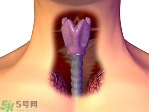 ?皰疹性咽峽炎有什么癥狀？寶寶?皰疹性咽峽炎癥狀