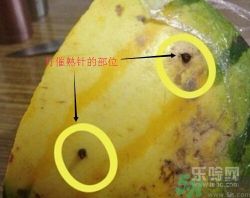 如何辨別催熟的西瓜？催熟的西瓜是什么樣的？