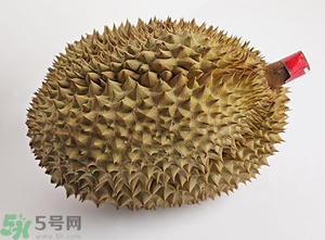 榴蓮沒開口可以吃嗎？榴蓮沒裂開能吃嗎？