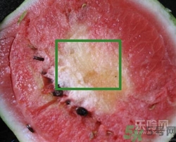 如何辨別催熟的西瓜？催熟的西瓜是什么樣的？