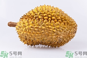 榴蓮能放冰箱嗎？榴蓮放在冰箱能保存幾天？